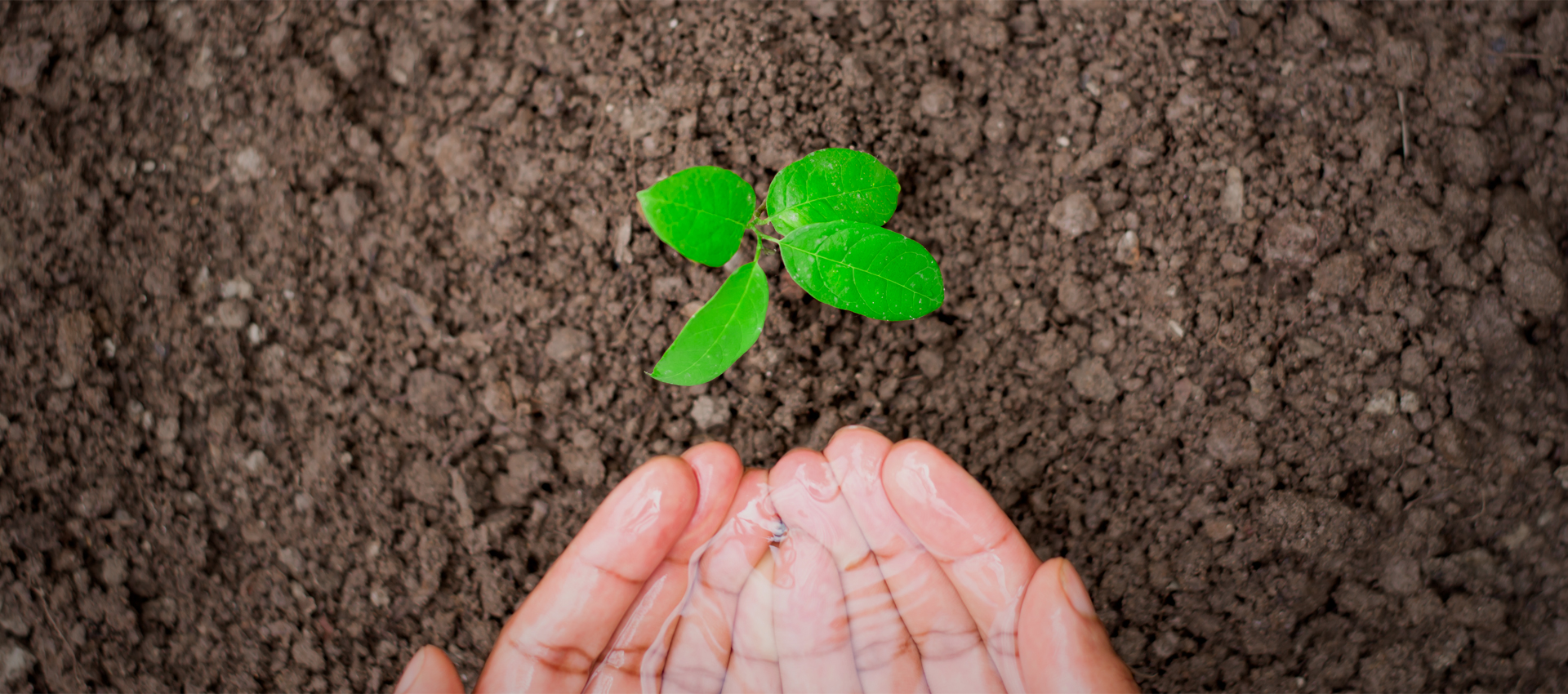 Natural, healthy and simply better ingredients