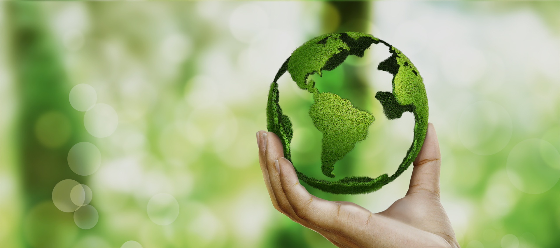 New Zealand's Best and Approved Brands